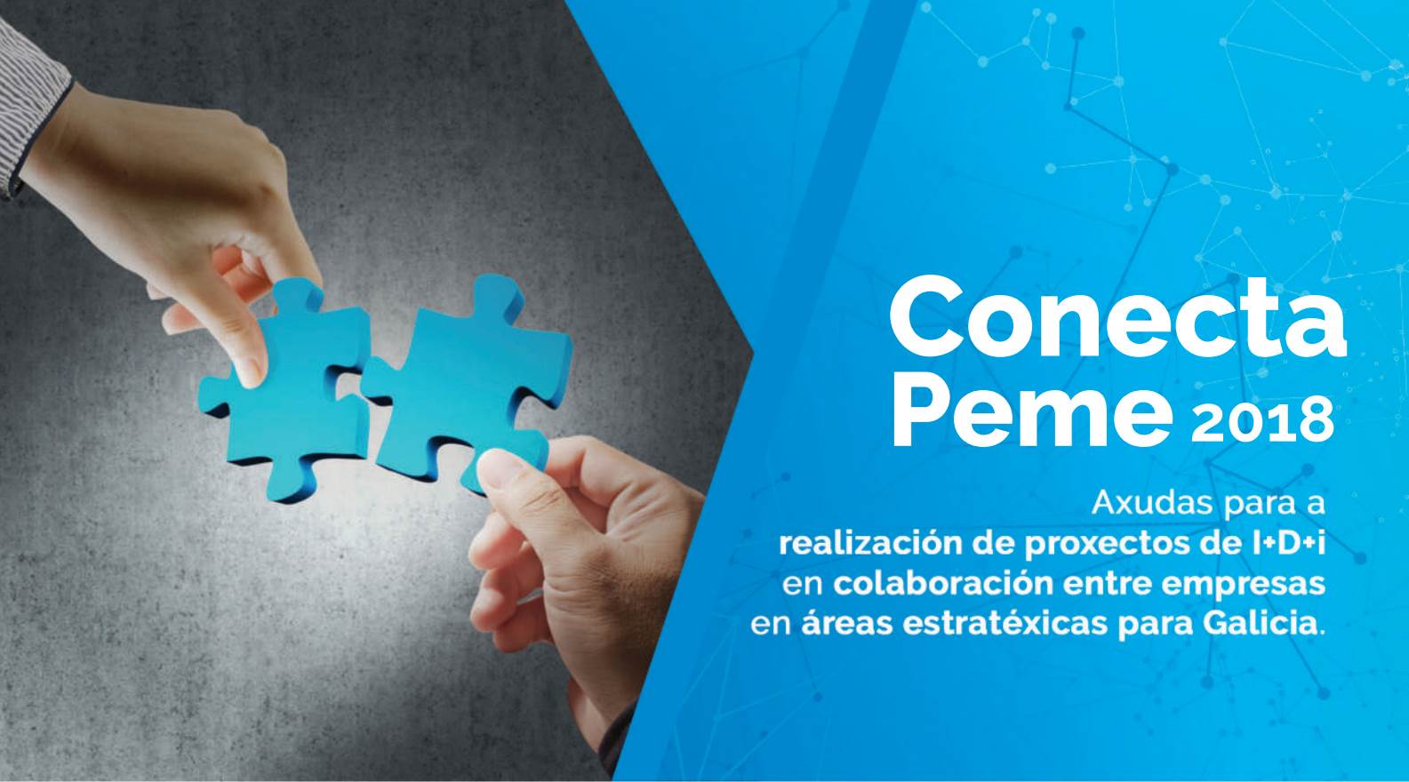 conecta peme 2018