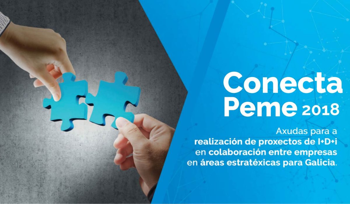 conecta-peme